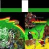 BOLIVIA DEGRADE CONCEP