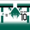 PALMEIRAS CONCEP