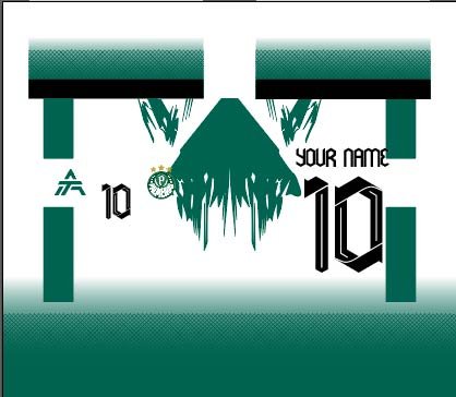 PALMEIRAS CONCEP